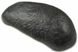 Fossil Whale Ear Bone - South Carolina #346975-1